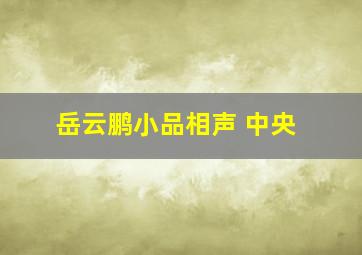 岳云鹏小品相声 中央